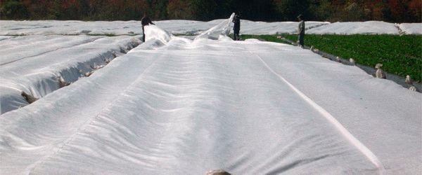 агроволокно агроволокно