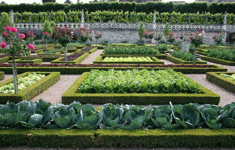 Виды и формы грядок