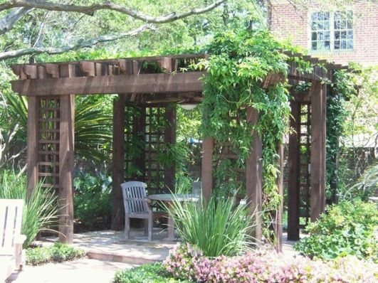 беседка своими руками из растений беседка своими руками из растений