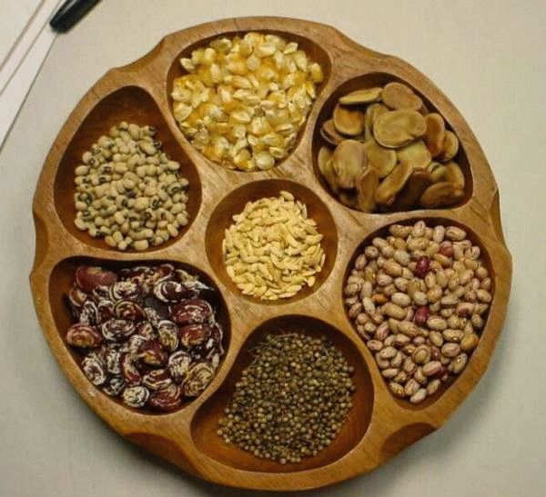 как оживить семена  как оживить семена