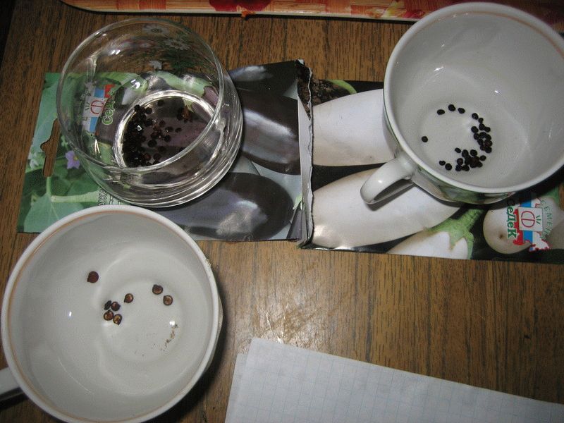 замачиваем семена замачиваем семена