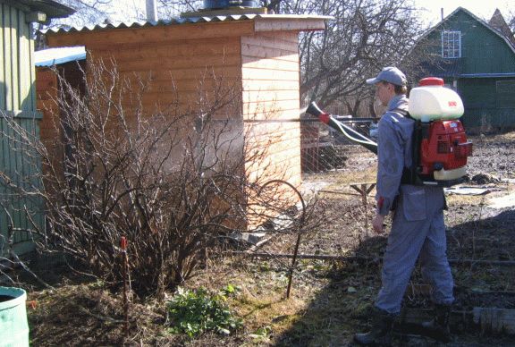 обработка ягодных кустарников обработка ягодных кустарников