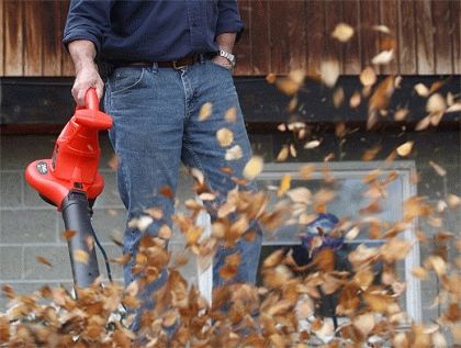 садовый пылесос садовый пылесос