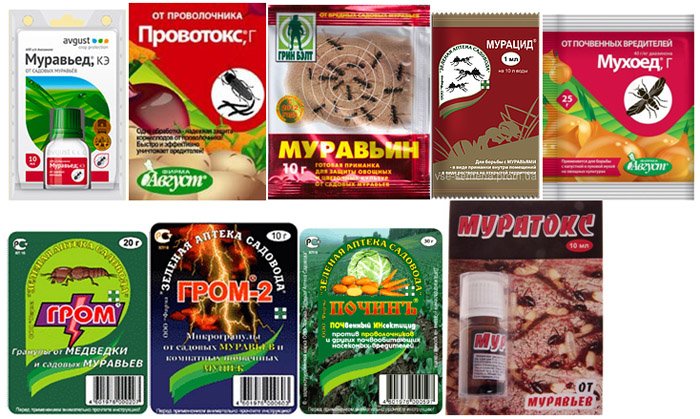 препараты от муравьев препараты от муравьев