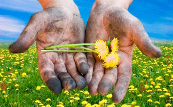 уход за руками после садовых работ уход за руками после садовых работ