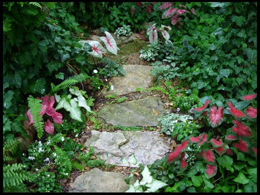 дорожка в саду дорожка в саду