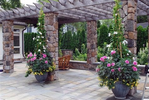 цветы в контейнерах цветы в контейнерах