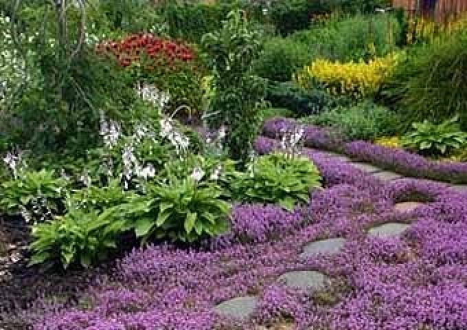 дорожки из цветов дорожки из цветов