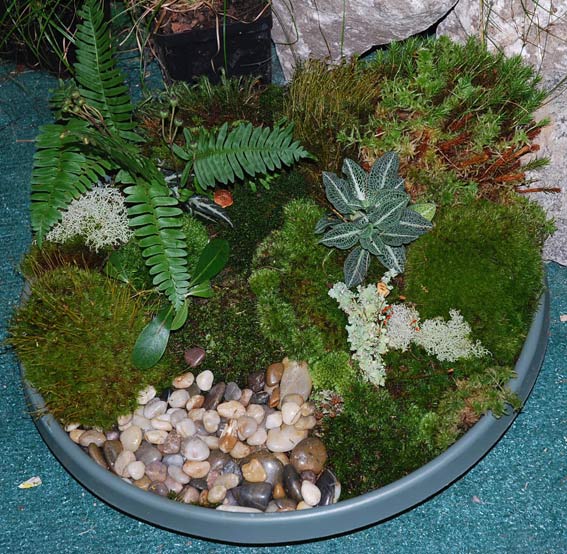 мини-сад мини-сад