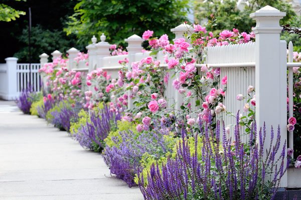 дизайн входной зоны дизайн входной зоны