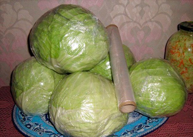 как хранить капусту как хранить капусту