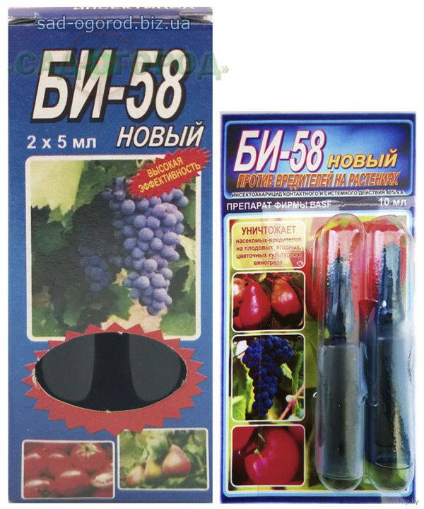 борьба с тлей химическими препаратами