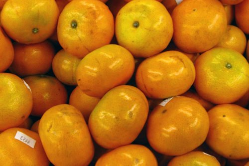 Выращивание домашних мандарин Как вырастить мандарины дома