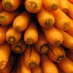 Выращивание моркови из семян – посадка и уход