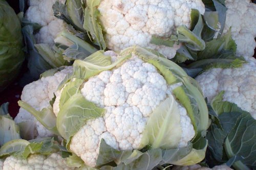 Как вырастить цветную капусту Выращивание цветной капусты из семян