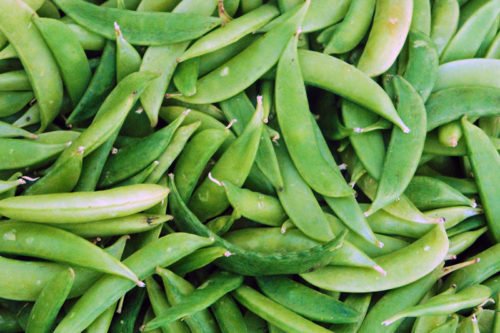 Фасоль на нашем столе