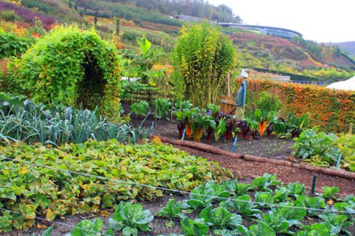 Грядки многослойные