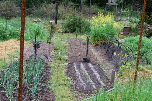 Подготовка почвы под огород