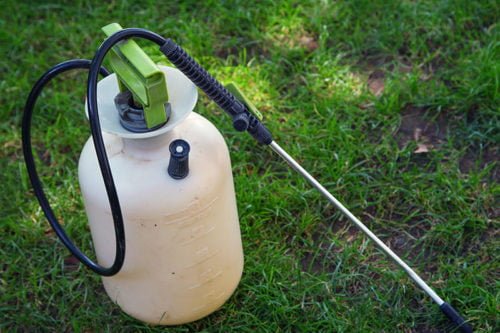 Удобрения для кабачков