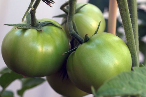 Рекомендация 3: расположение посадок.