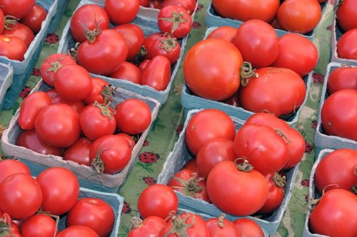 Рекомендация 4: укрепление корневой системы помидоров.