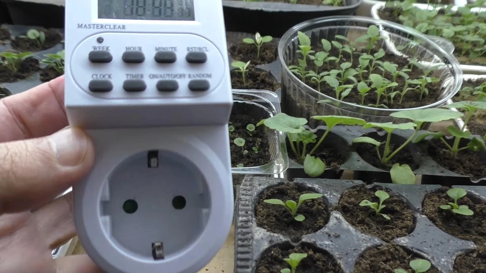 таймер розетка