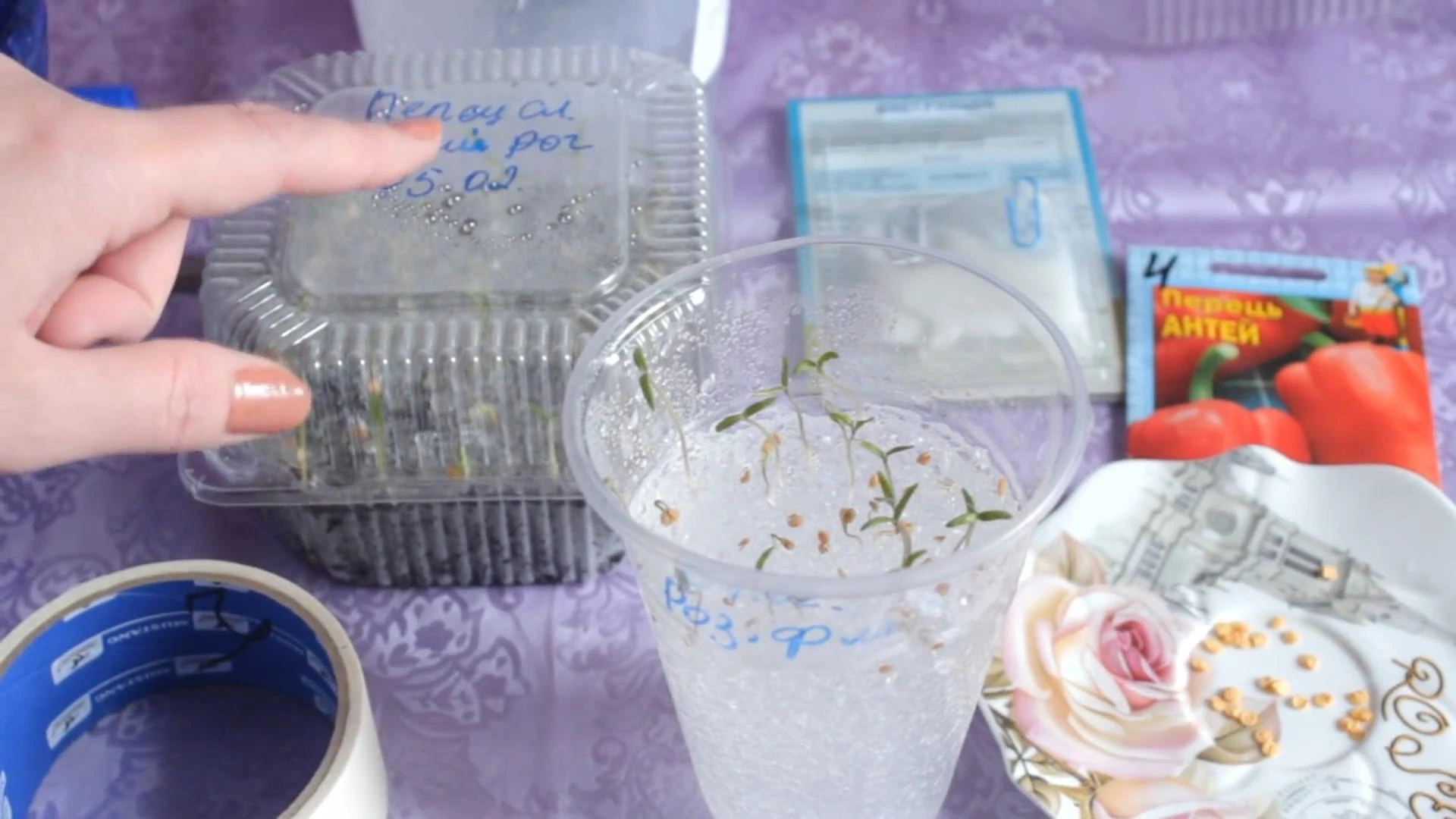 посев перца не гидрогель