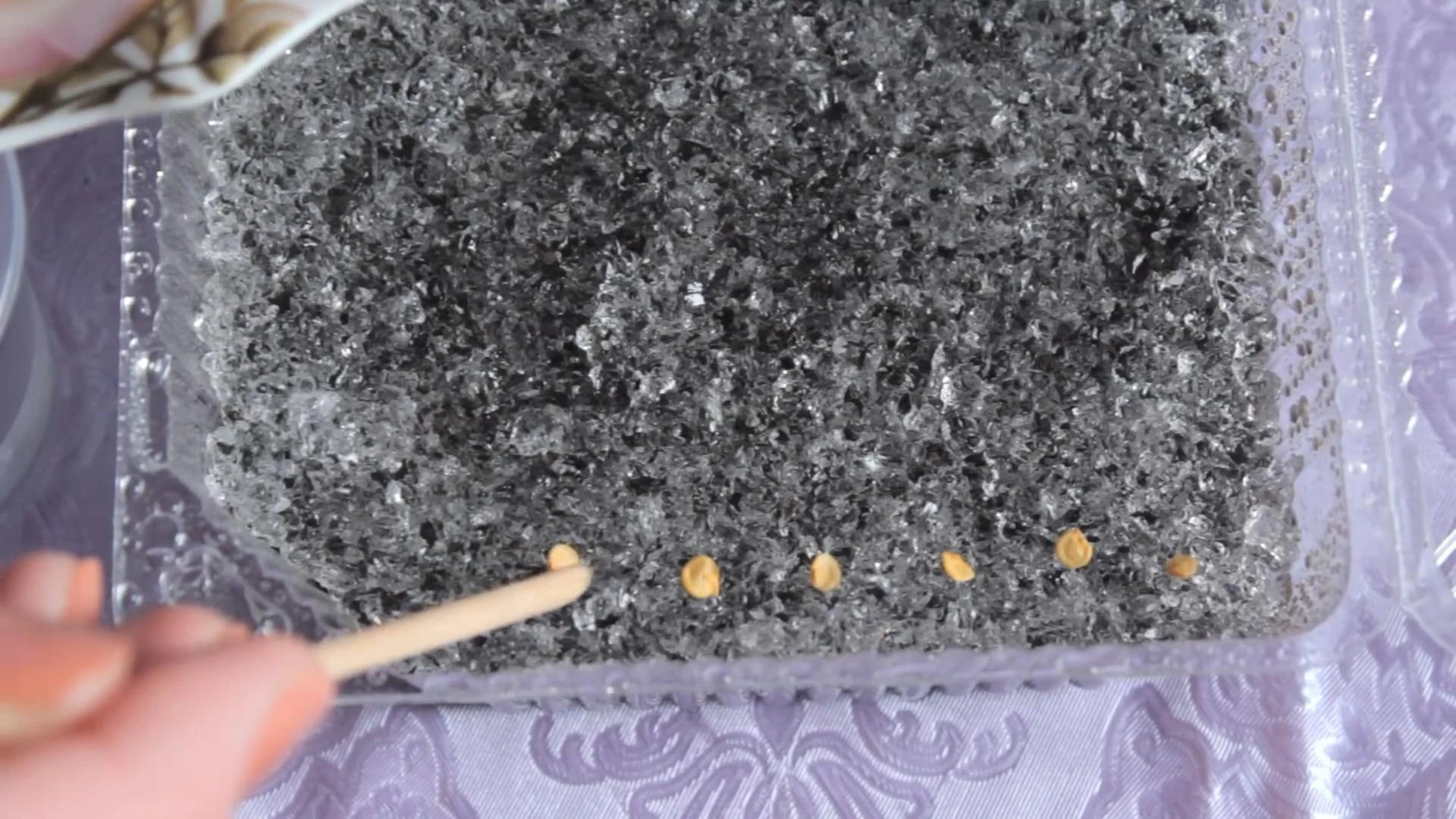 посев семян сладкого перца на грунт с гидрогелем