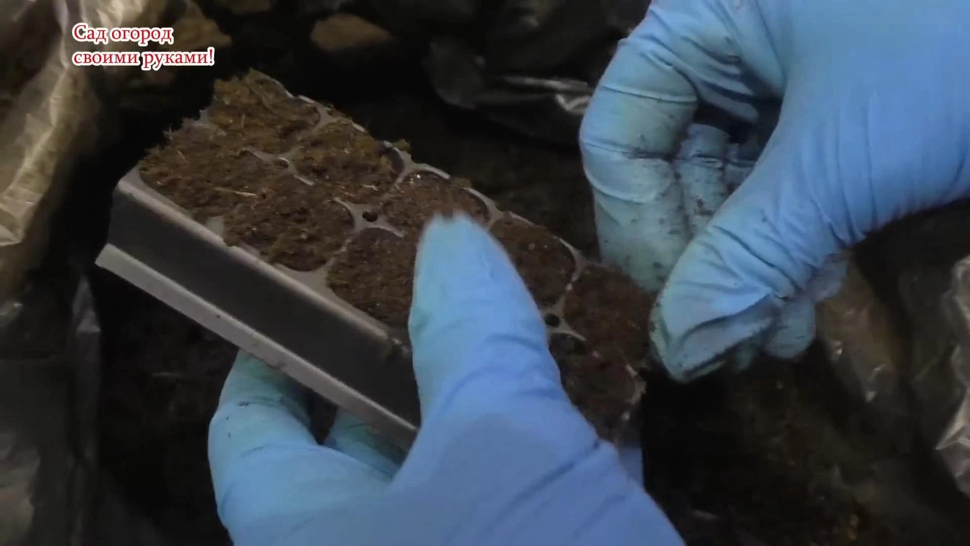 для рассады кассеты