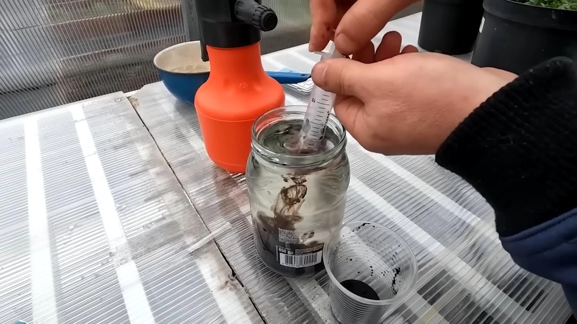 растворяем фитоспорин