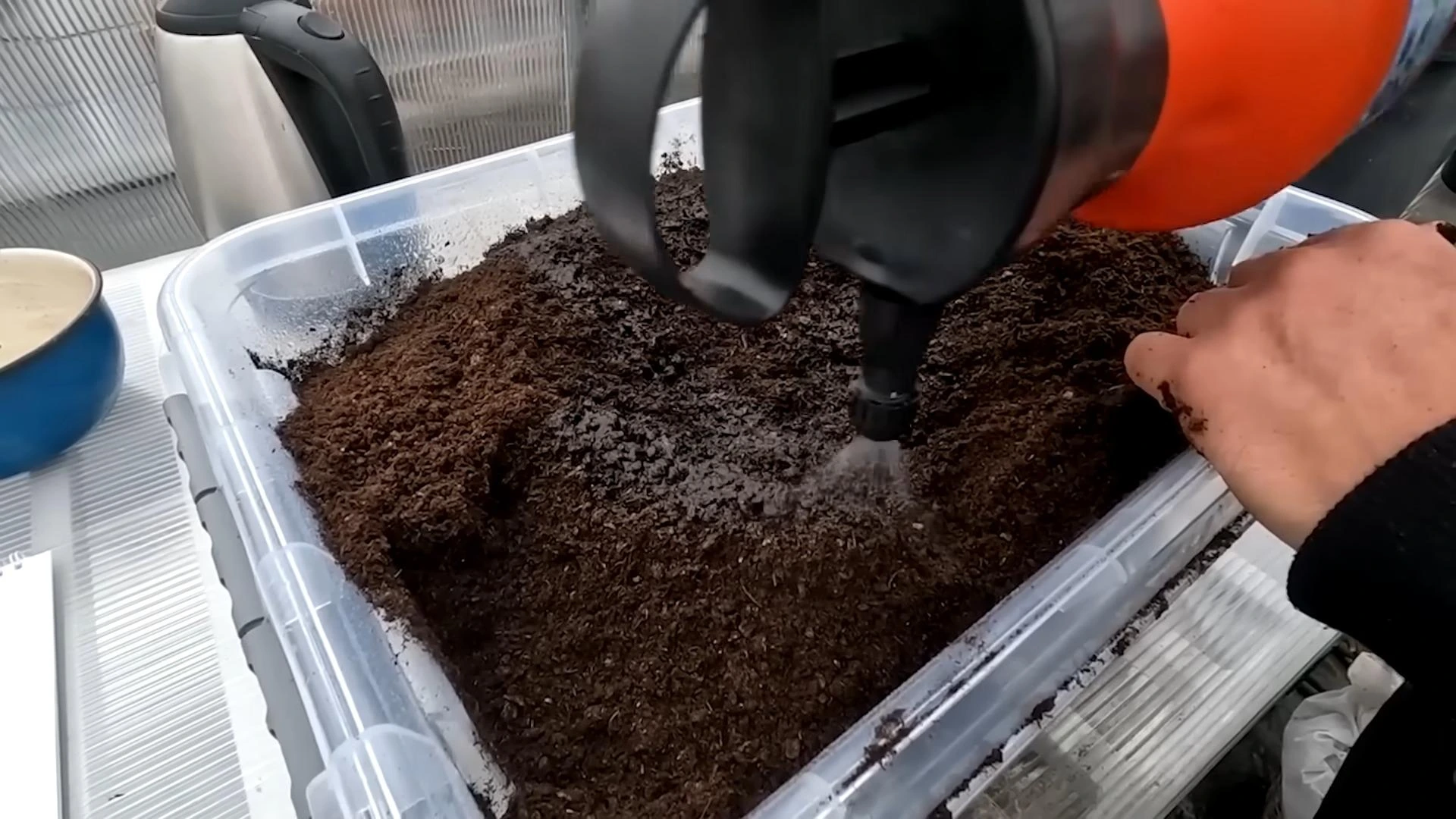 обработка грунта фитоспорином