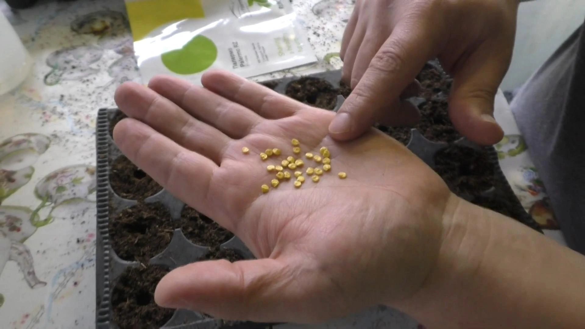 семена перца