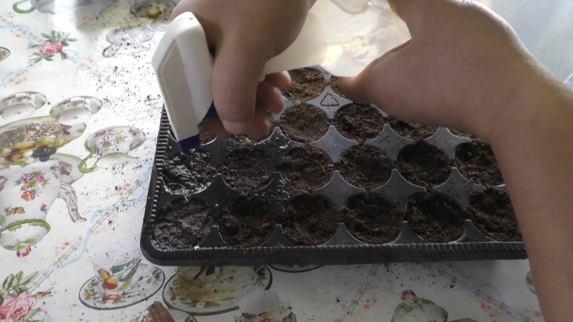 полив рассады перца