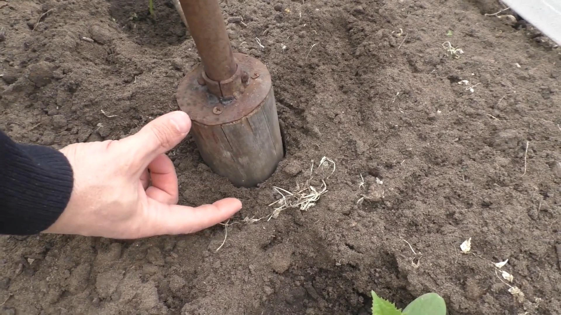 делаем лунки для рассады