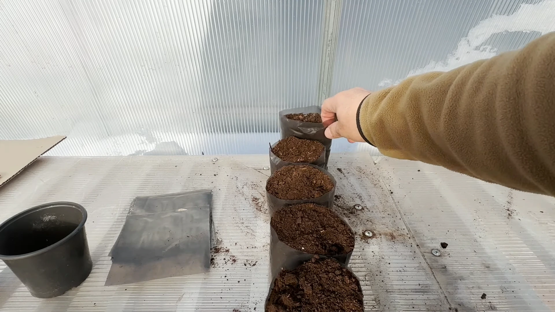 Стаканчики