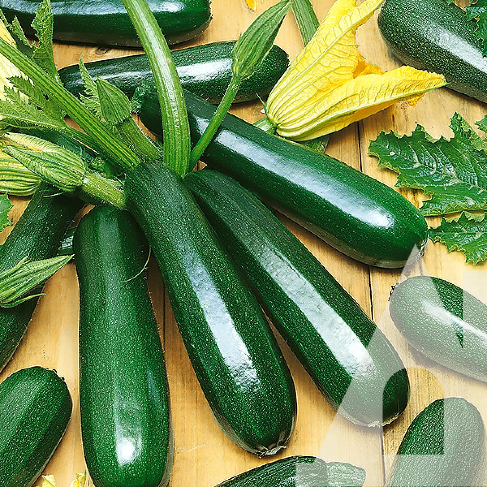 Кабачок Супремо