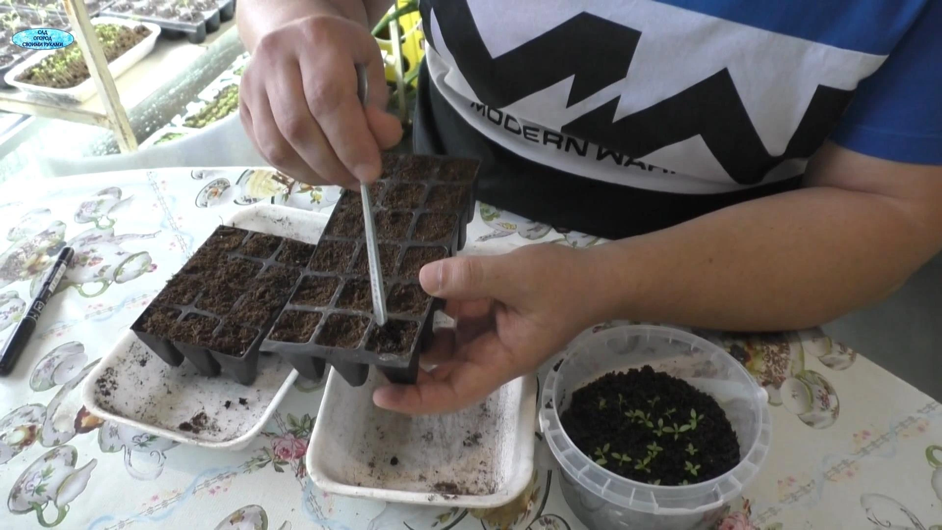 кассеты для рассады эустомы