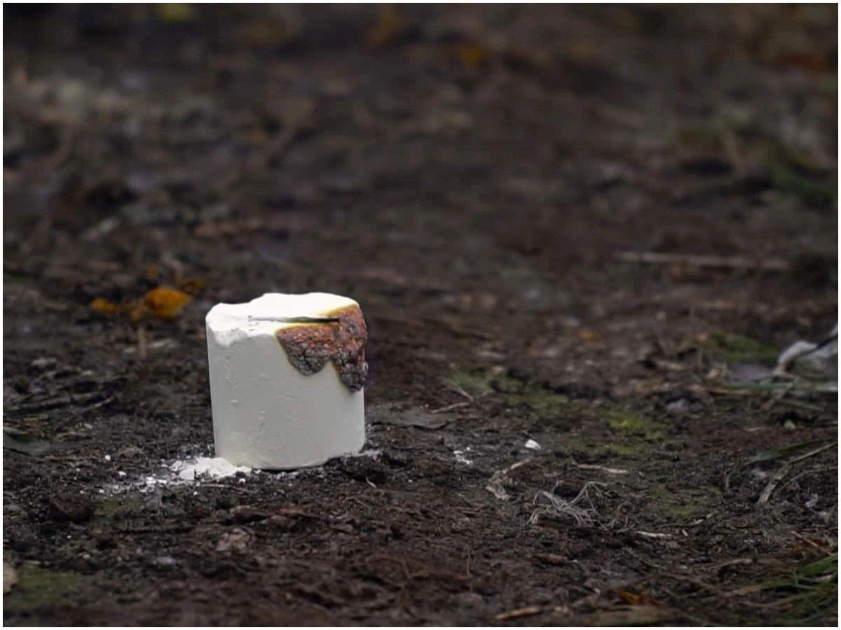 серная шашка