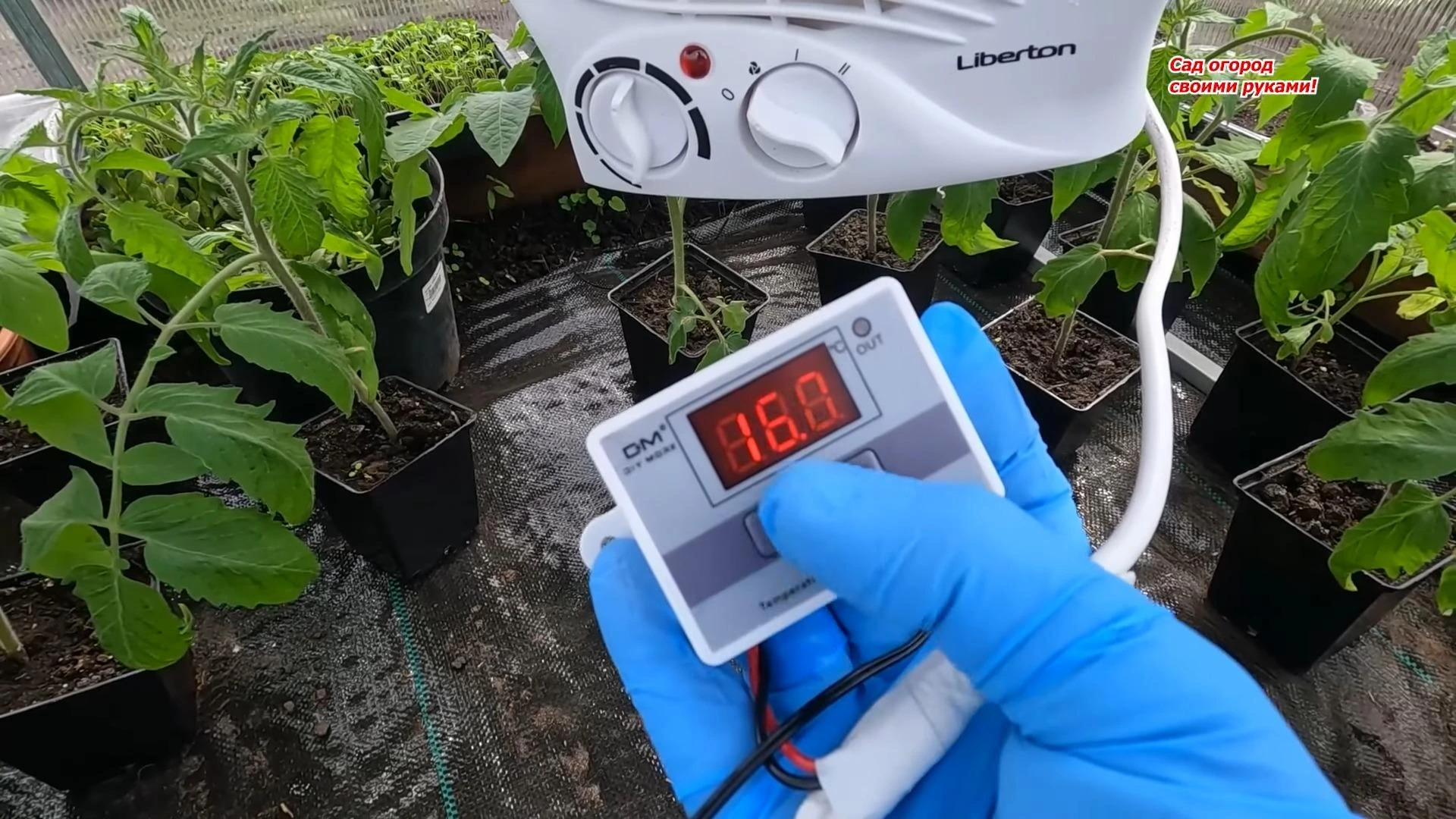 температура в теплице