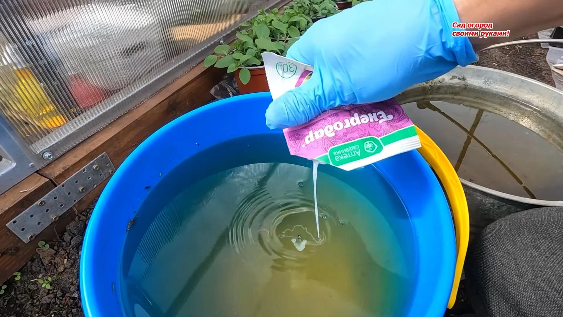 лечебный полив