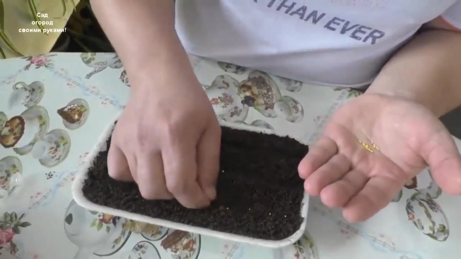 Посев семян на рассаду