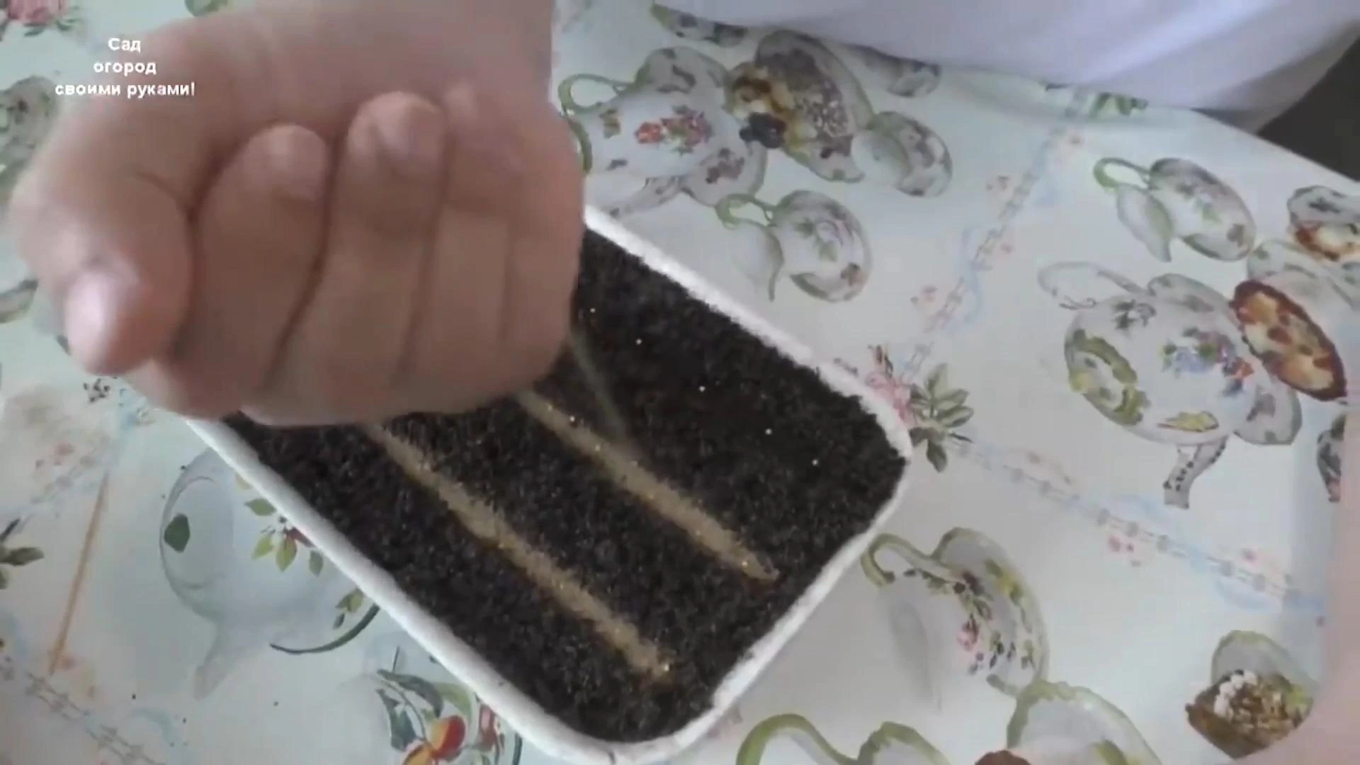 присыпаем семена песком