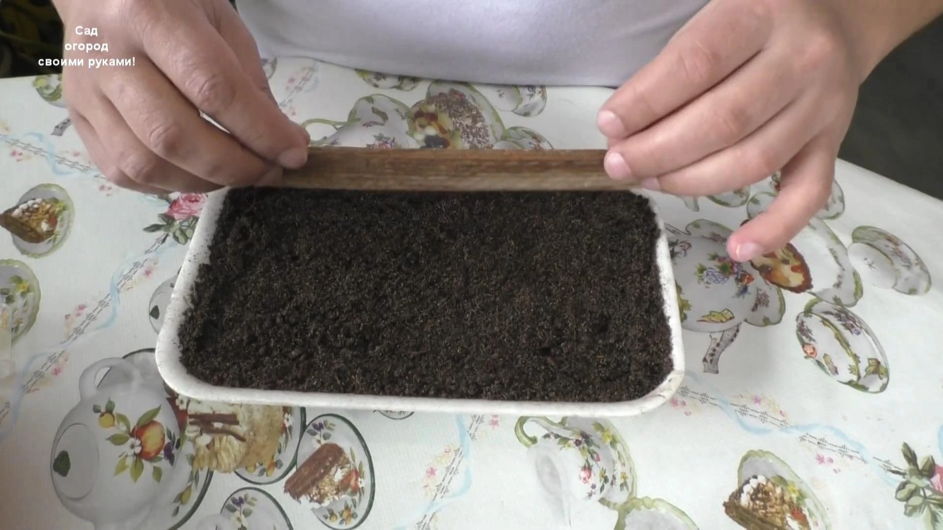 подготовка плошки для посадки петунии
