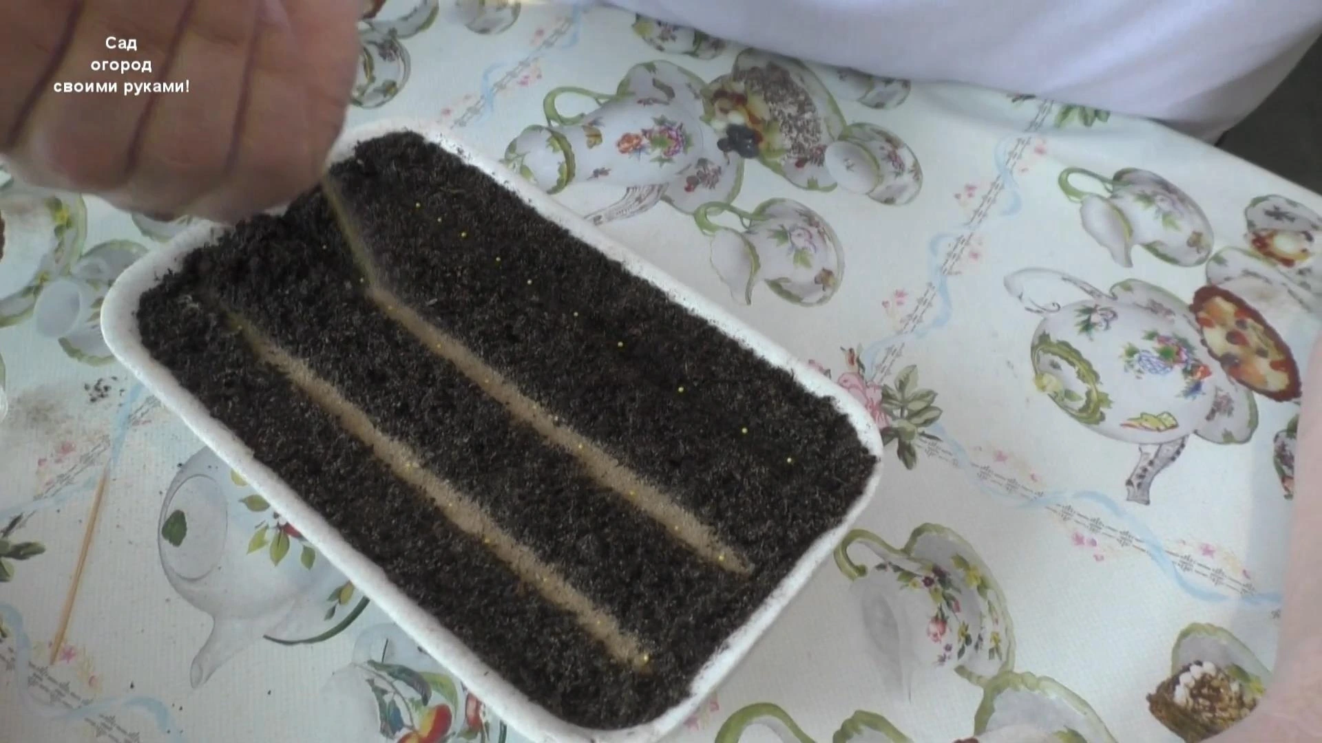 присыпаем семена песком