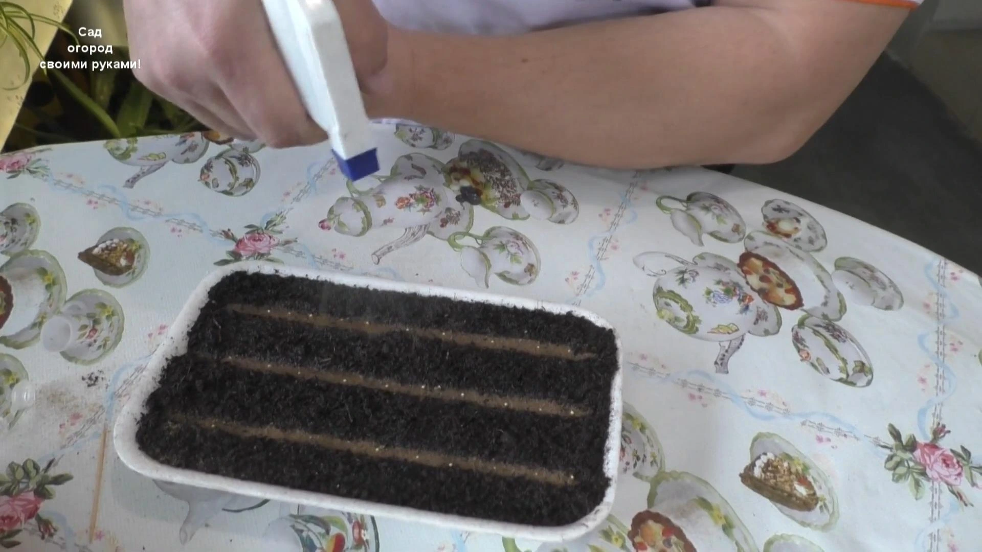 Опрыскиваем посевы