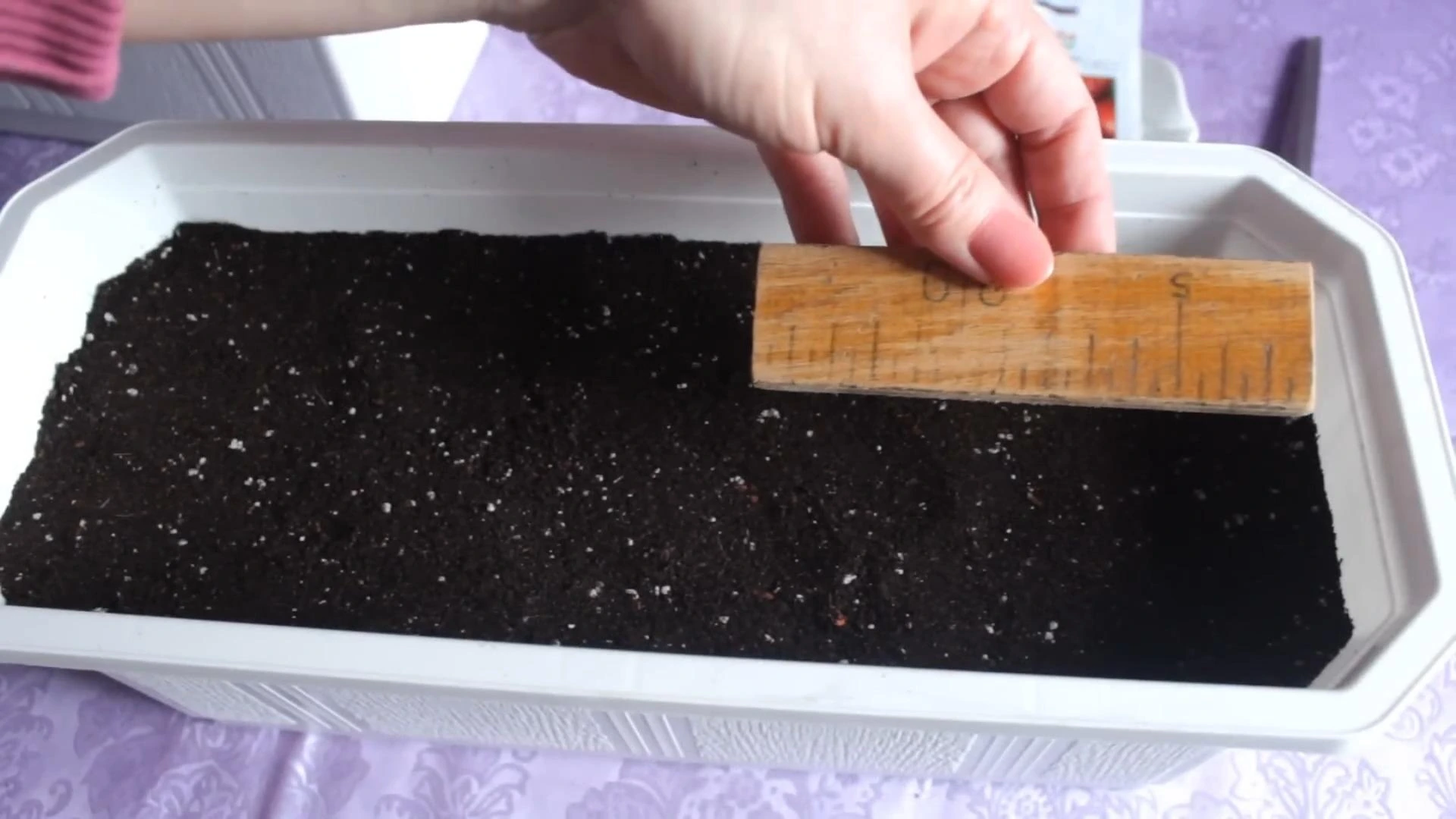 подготовка к посадке лука