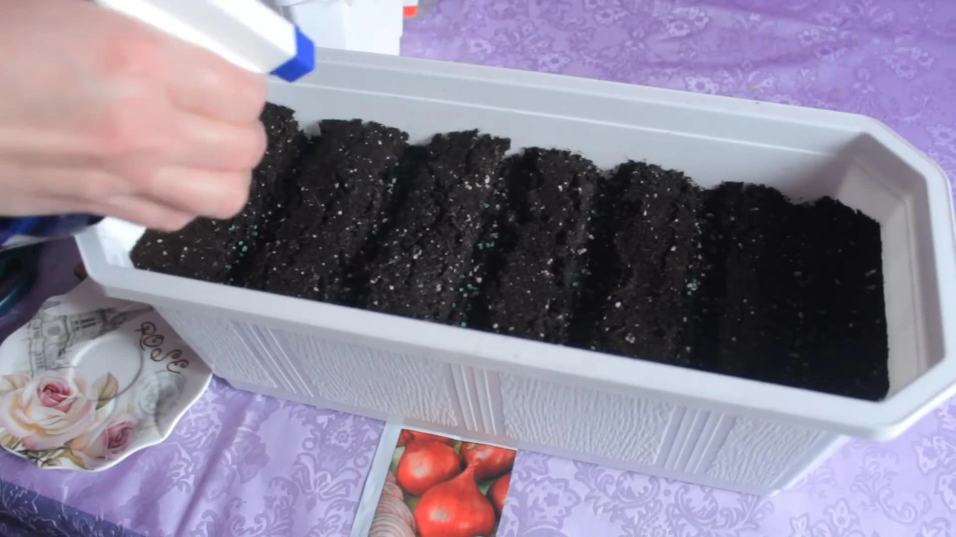 опрыскивание посевов лука