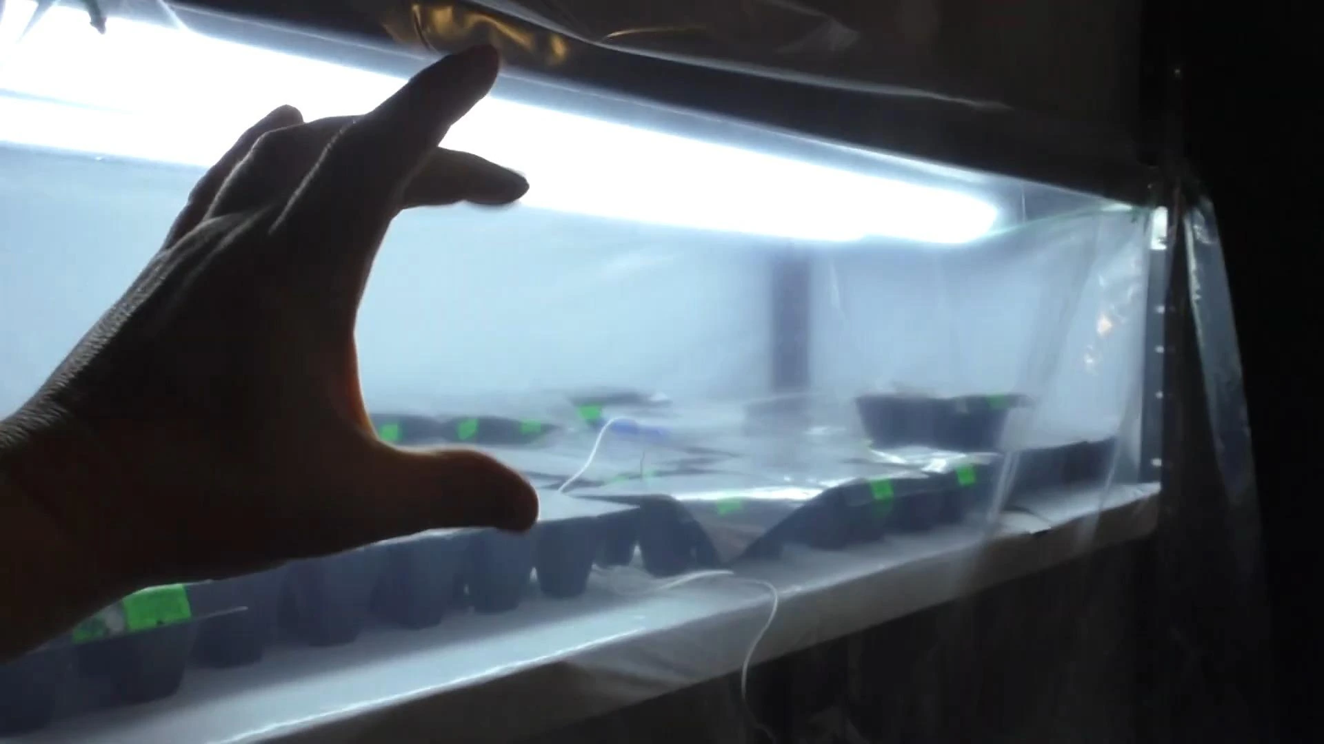 температура